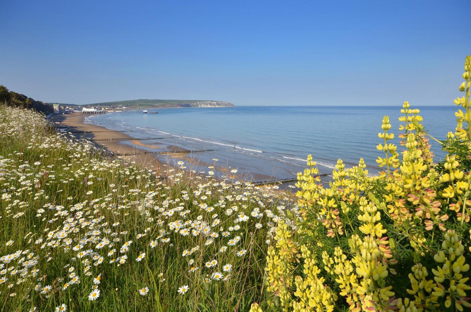 فيلا The Haven - Isle Of Wight سانداوْن المظهر الخارجي الصورة